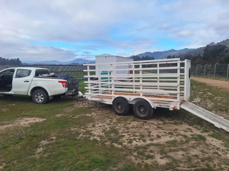 Carro de traslado de ovejas en planta fotovoltaica
